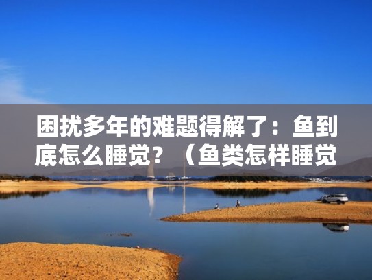 困扰多年的难题得解了：鱼到底怎么睡觉？（鱼类怎样睡觉）