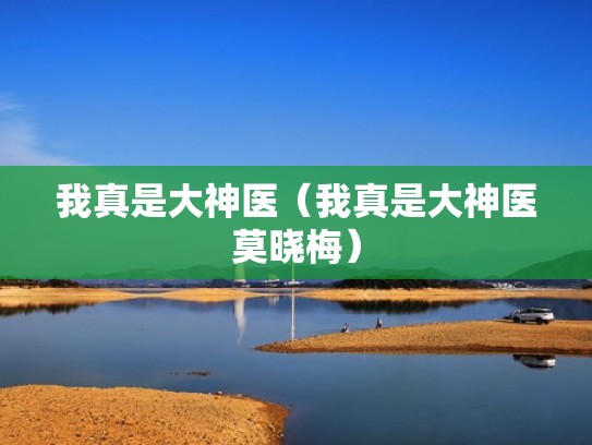 我真是大神医（我真是大神医莫晓梅）