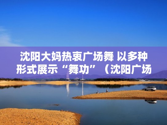 沈阳大妈热衷广场舞 以多种形式展示“舞功”（沈阳广场舞大叔）