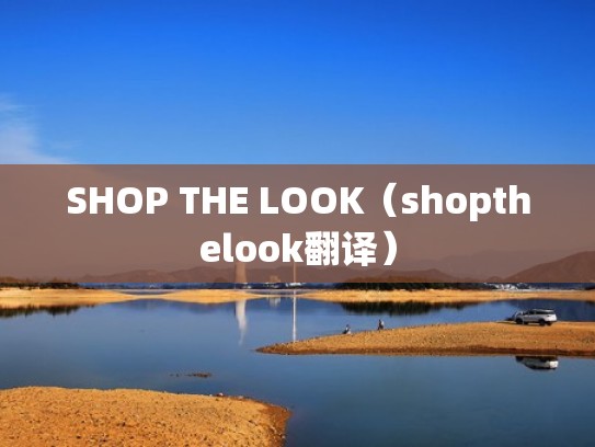 SHOP THE LOOK（shopthelook翻译）