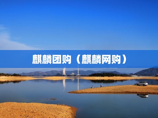 麒麟团购（麒麟网购）