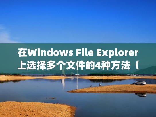 在Windows File Explorer上选择多个文件的4种方法（windows选取多个文件）