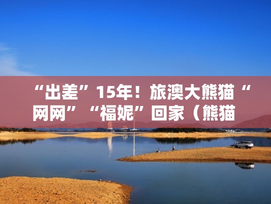 “出差”15年！旅澳大熊猫“网网”“福妮”回家（熊猫 澳大利亚）