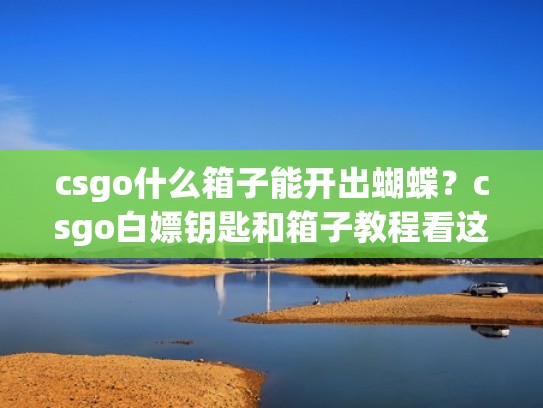 csgo什么箱子能开出蝴蝶？csgo白嫖钥匙和箱子教程看这里（csgo什么箱子可以出蝴蝶）