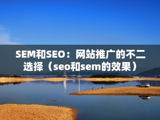 SEM和SEO：网站推广的不二选择（seo和sem的效果）