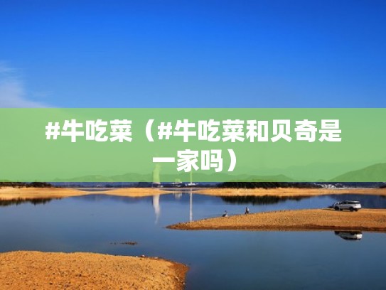 #牛吃菜（#牛吃菜和贝奇是一家吗）