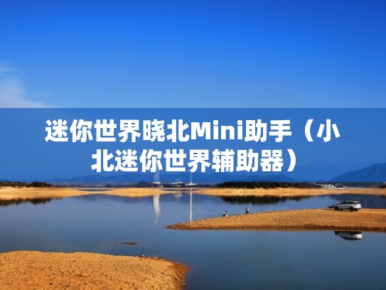 迷你世界晓北Mini助手（小北迷你世界辅助器）