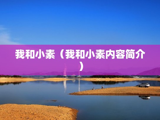 我和小素（我和小素内容简介）