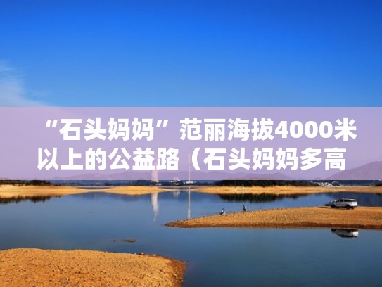 “石头妈妈”范丽海拔4000米以上的公益路（石头妈妈多高）