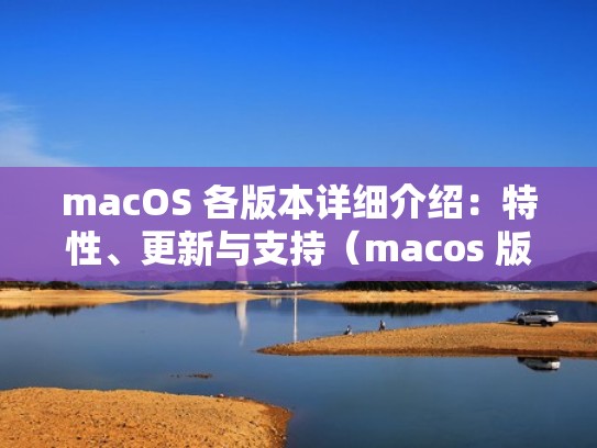 macOS 各版本详细介绍:特性、更新与支持(macos 版本列表) macOS 各版本详细介绍:特性、更新与支持(macos 版本列表)