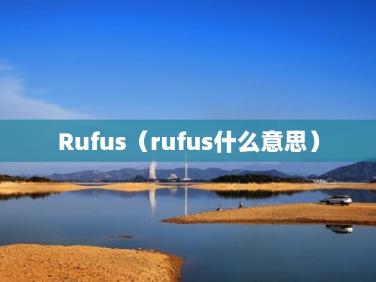 Rufus（rufus什么意思）
