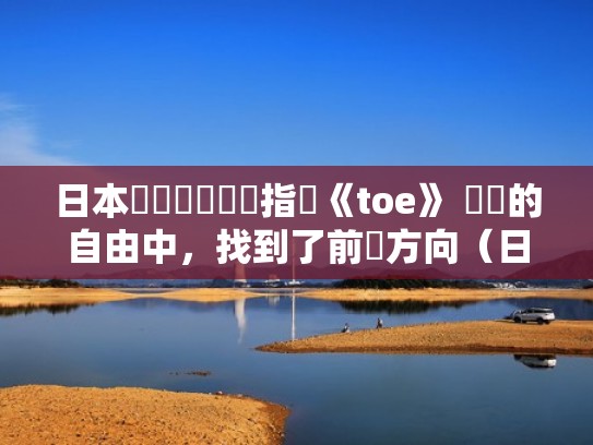 日本數學搖滾樂團指標《toe》 複雜的自由中，找到了前進方向（日本数学摇滚乐队）