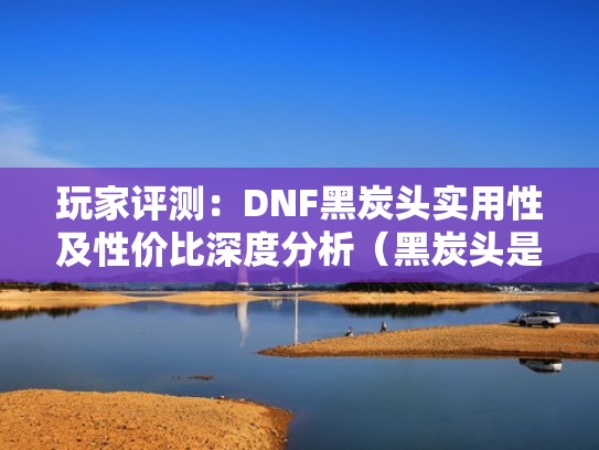 玩家评测：DNF黑炭头实用性及性价比深度分析（黑炭头是什么意思）
