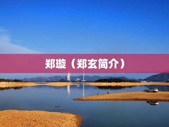 郑璇（郑玄简介）