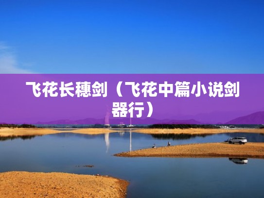 飞花长穗剑（飞花中篇小说剑器行）