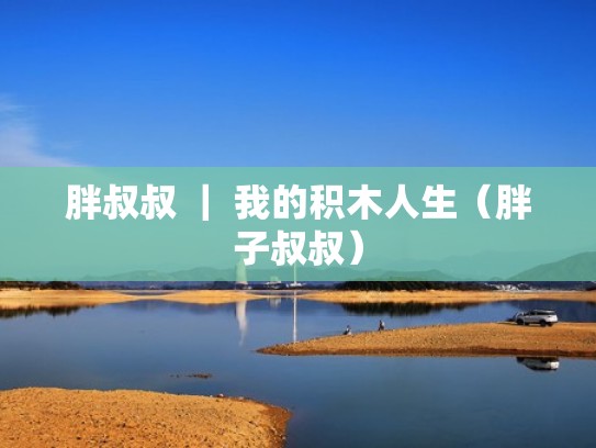 胖叔叔 | 我的积木人生(胖子叔叔) 胖叔叔 | 我的积木人生(胖子叔叔)