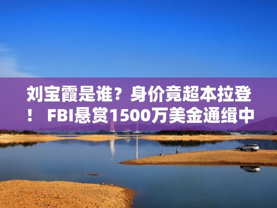 刘宝霞是谁？身价竟超本拉登！ FBI悬赏1500万美金通缉中国大姐（刘宝霞书画）