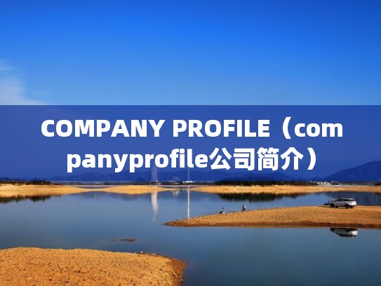 COMPANY PROFILE(companyprofile公司简介) COMPANY PROFILE(companyprofile公司简介)