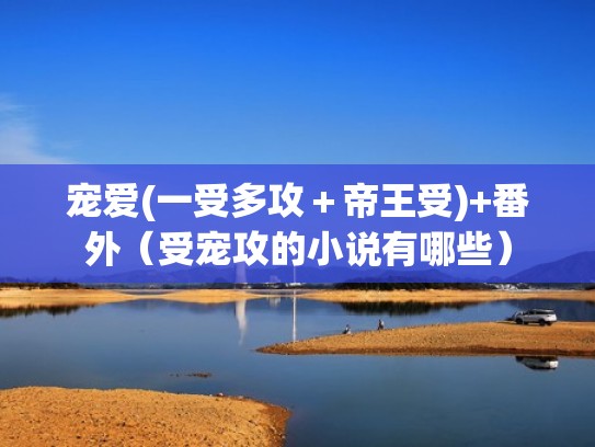 宠爱(一受多攻＋帝王受)+番外（受宠攻的小说有哪些）