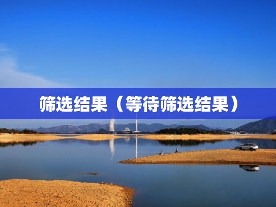 筛选结果（等待筛选结果）