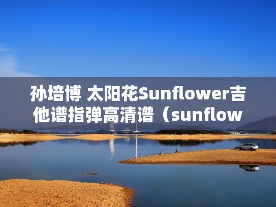 孙培博 太阳花Sunflower吉他谱指弹高清谱（sunflower太阳花吉他谱高清版）