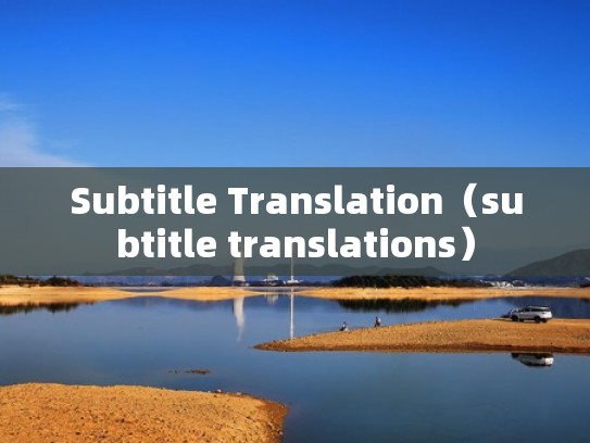 Subtitle Translation（subtitle translations）