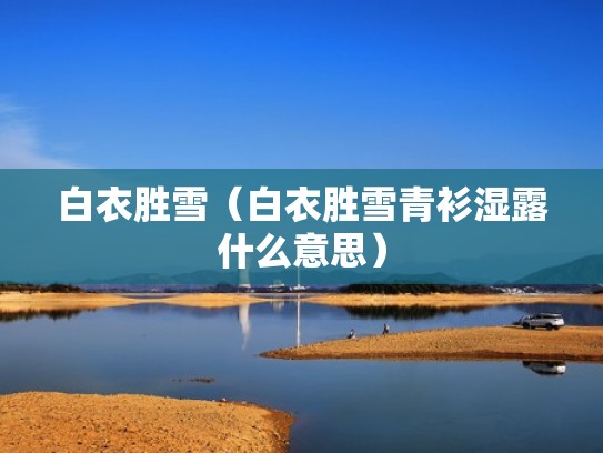 白衣胜雪（白衣胜雪青衫湿露什么意思）