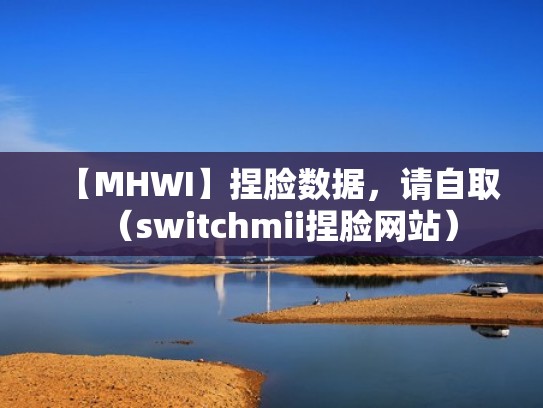 【MHWI】捏脸数据，请自取（switchmii捏脸网站）