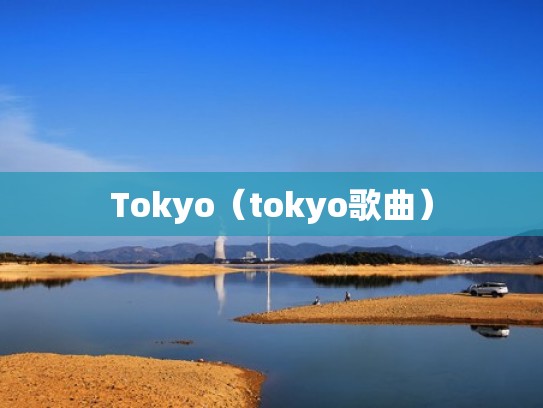 Tokyo（tokyo歌曲）