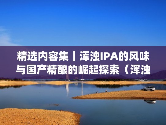 精选内容集|浑浊IPA的风味与国产精酿的崛起探索(浑浊ipa的酿造工艺) 精选内容集|浑浊IPA的风味与国产精酿的崛起探索(浑浊ipa的酿造工艺)