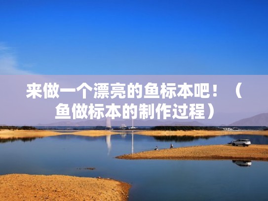 来做一个漂亮的鱼标本吧！（鱼做标本的制作过程）