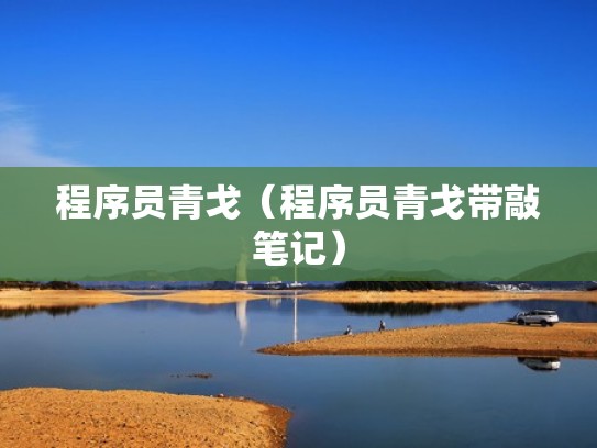 程序员青戈（程序员青戈带敲笔记）