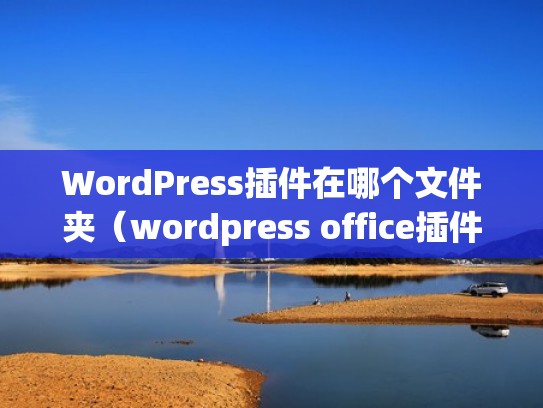 WordPress插件在哪个文件夹（wordpress office插件）