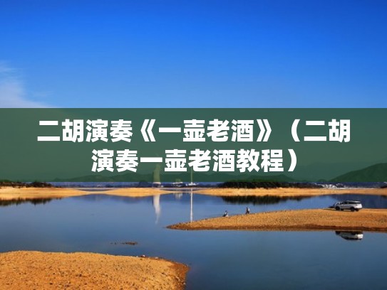 二胡演奏《一壶老酒》（二胡演奏一壶老酒教程）