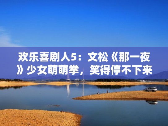 欢乐喜剧人5：文松《那一夜》少女萌萌拳，笑得停不下来（文松参加的欢乐喜剧人是第几季）