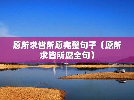 愿所求皆所愿完整句子（愿所求皆所愿全句）