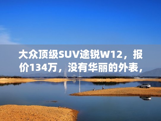 大众顶级SUV途锐W12，报价134万，没有华丽的外表，只有强劲动力（大众途锐ehybrid价格）