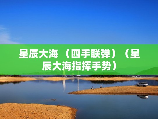 星辰大海 （四手联弹）（星辰大海指挥手势）