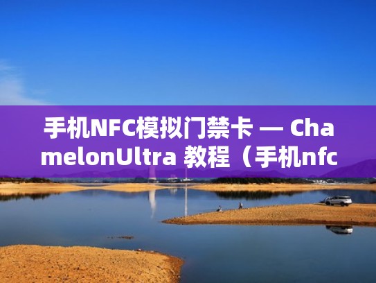 手机NFC模拟门禁卡 — ChamelonUltra 教程(手机nfc功能模拟门禁卡) 手机NFC模拟门禁卡 — ChamelonUltra 教程(手机nfc功能模拟门禁卡)