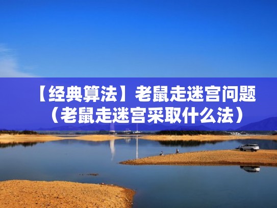 【经典算法】老鼠走迷宫问题（老鼠走迷宫采取什么法）