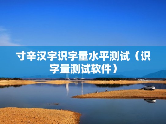 寸辛汉字识字量水平测试（识字量测试软件）