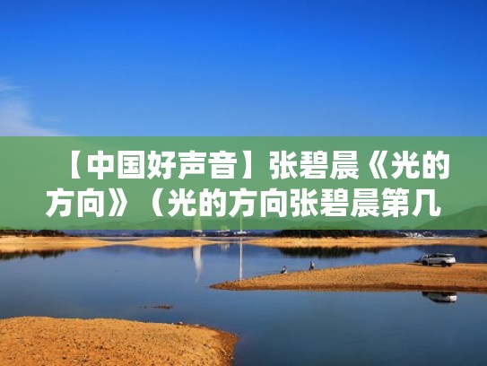 【中国好声音】张碧晨《光的方向》（光的方向张碧晨第几期）
