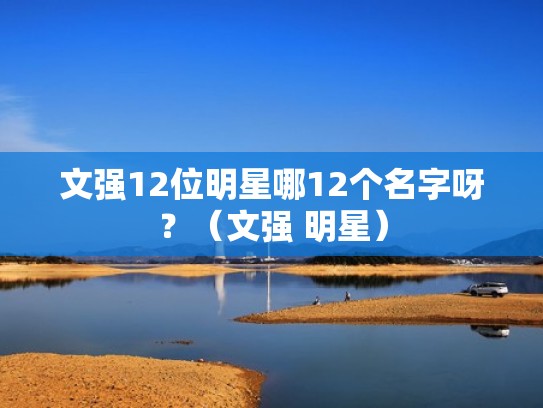 文强12位明星哪12个名字呀?(文强 明星) 文强12位明星哪12个名字呀?(文强 明星)