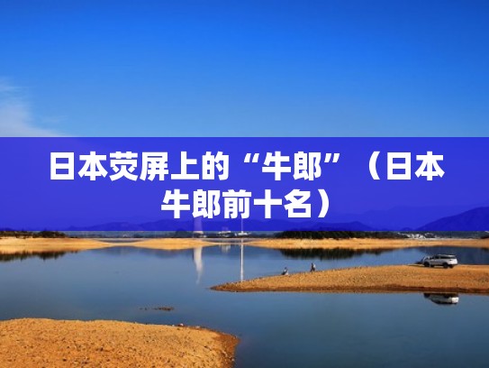 日本荧屏上的“牛郎”（日本牛郎前十名）