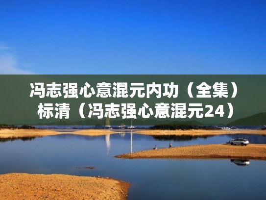 冯志强心意混元内功（全集） 标清（冯志强心意混元24）