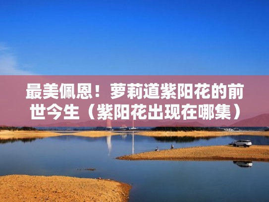 最美佩恩！萝莉道紫阳花的前世今生（紫阳花出现在哪集）