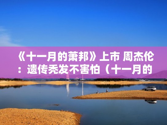 《十一月的萧邦》上市 周杰伦：遗传秃发不害怕（十一月的萧邦专辑歌曲）