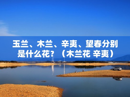 玉兰、木兰、辛夷、望春分别是什么花？（木兰花 辛夷）