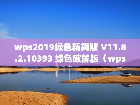 wps2019绿色精简版 V11.8.2.10393 绿色破解版（wps绿色便携版）