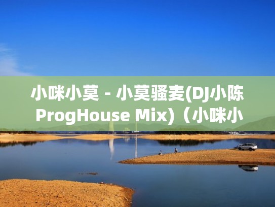 小咪小莫 - 小莫骚麦(DJ小陈 ProgHouse Mix)（小咪小莫是谁啊）
